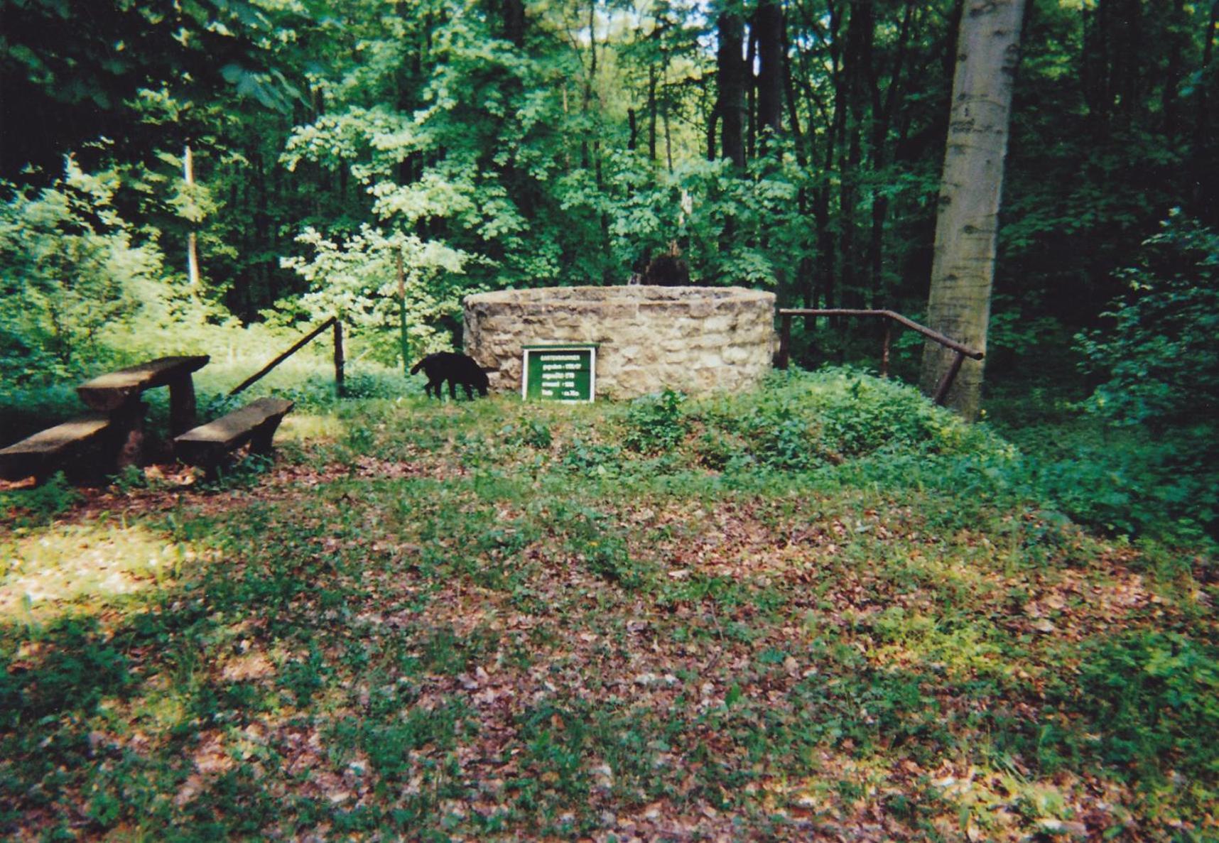 Hotel garni Zum Rebstock Naumburg  Exterior foto